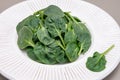 Fresh green baby Spinach leaves, diet and health concept, weight loss, spinach on ceramic plate, copy space Royalty Free Stock Photo