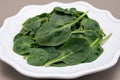Fresh green baby Spinach leaves, diet and health concept, weight loss, spinach on ceramic plate, copy space Royalty Free Stock Photo