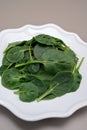 Fresh green baby Spinach leaves, diet and health concept, weight loss, spinach on ceramic plate, copy space Royalty Free Stock Photo