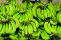 Fresh green bananas for sale Royalty Free Stock Photo