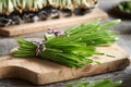 Fresh green barley grass blades on a table, close up Royalty Free Stock Photo