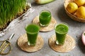 Fresh green barley grass juice with fresh barleygrass blades Royalty Free Stock Photo