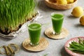 Fresh green barley grass juice in glass cups Royalty Free Stock Photo