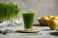 Fresh green barley grass juice in a glass cup Royalty Free Stock Photo