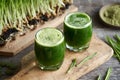 Fresh green barley grass juice with homegrown blades, with barley grass powder and tablets Royalty Free Stock Photo