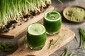 Fresh green barley grass juice with homegrown blades Royalty Free Stock Photo
