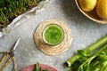 Fresh green barley grass juice with homegrown young barley grass blades Royalty Free Stock Photo