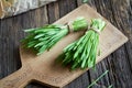 Fresh green barley grass on a rustic background Royalty Free Stock Photo