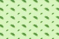 Basilic leaves pattern background