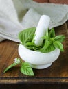 Fresh green basil leaves in a mortar Royalty Free Stock Photo