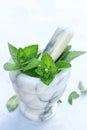 Fresh green basil in the marble mortar over white background. Close-up view Royalty Free Stock Photo