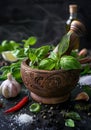 Fresh green basil in mortar with pestle garlic spices and olive oil on dark background Royalty Free Stock Photo