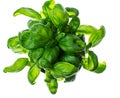 Fresh green basil in plastic container on white background Royalty Free Stock Photo