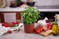 fresh green basil pot on the table at domestic home Royalty Free Stock Photo