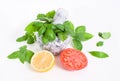 Fresh green basil in a stone mortar, tomato and lemon. Isolated on white background Royalty Free Stock Photo