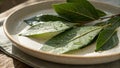 Fresh Green Bay Leaves with Water Droplets on Plate Royalty Free Stock Photo