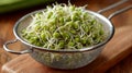 Fresh green bean sprouts in a colander on a wooden board. Royalty Free Stock Photo