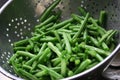 Fresh green beans Royalty Free Stock Photo