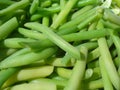 Fresh green beans