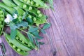 Fresh green beans of peas with flower on old wood Royalty Free Stock Photo