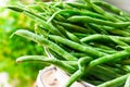 Fresh green beans in white metal colander on wood garden box, herbs, summer harvest, healthy diet Royalty Free Stock Photo