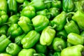 Fresh green bell paprika pepper as a background Royalty Free Stock Photo