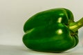 Fresh green bell pepper capsicum on a white background Royalty Free Stock Photo