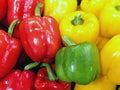 A fresh green bell pepper among red bell peppers and yellow bell peppers in the basket close up top view for sell in the market Royalty Free Stock Photo