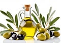 Fresh green and black olives and a bottle of olive oil, with a branch with leaves. Royalty Free Stock Photo