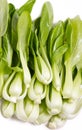 Fresh Green Bok Choi. Royalty Free Stock Photo