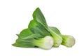 Fresh green bok choy chinese cabbage isolated on white