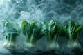 Fresh Green Bok Choy in Misty Smoke on Dark Background Healthy Vegetarian Cuisine Ingredients