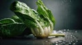 Fresh green bok choy with water drops on black background