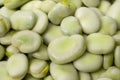 Green broad beans closeup selective focus Royalty Free Stock Photo