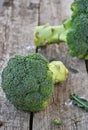 Fresh green broccol