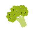 Fresh green broccoli. Brocoli vegetable in doodle style. Healthy brocolli food. Raw veggie. Colored flat vector