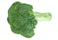 Fresh green broccoli cabbage head with stalk Royalty Free Stock Photo