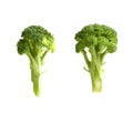 fresh green broccoli cabbage isolated on white background Royalty Free Stock Photo