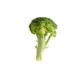 fresh green broccoli cabbage isolated on white background Royalty Free Stock Photo