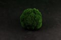 Fresh green broccoli on dark background. Organic food. Selective focus, copy space Royalty Free Stock Photo