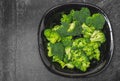 Fresh green broccoli florets in black bowl isolated on gray background Royalty Free Stock Photo