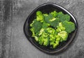 Fresh green broccoli florets in black bowl isolated on gray background, top view. Royalty Free Stock Photo