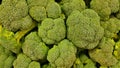 Fresh green Broccoli florets closeup image. Royalty Free Stock Photo