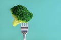 Fresh green broccoli on a fork on a blue background