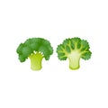 Fresh green broccoli icon isolated on white background Royalty Free Stock Photo