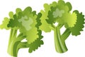 Fresh green broccoli, illustration, vector Royalty Free Stock Photo