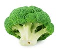 Fresh green broccoli isolated on a white background. Royalty Free Stock Photo