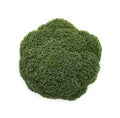 Fresh organic green Broccoli isolated on white background, closeup top view Royalty Free Stock Photo