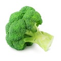 Fresh green broccoli isolated on a white background. Royalty Free Stock Photo