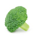 Fresh green broccoli isolated on a white background. Royalty Free Stock Photo